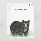 Carte Postale Ours de nounours d'ours noir (Devant / Derrière)