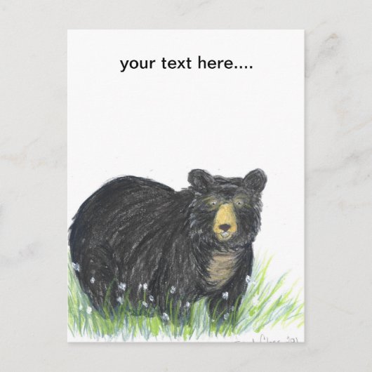 Carte Postale Ours de nounours d'ours noir (Devant)
