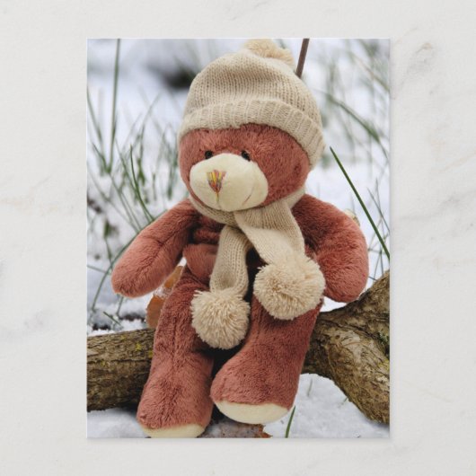 Carte Postale Ours de nounours mignon (Devant)