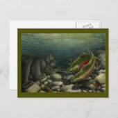 Carte postale Ours De Pêche Carte Postale Saumon P (Devant / Derrière)