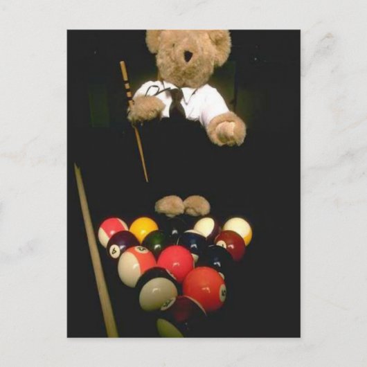 Carte Postale Ours de snooker (Devant)