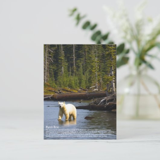 Carte Postale Ours d'esprit (Debout devant)