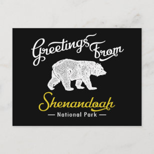 Carte Postale Ours du parc national de Shenandoah