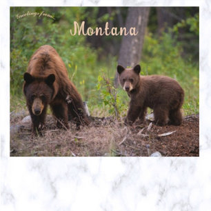Carte Postale Ours en Boulder Valley Montana USA