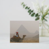 Carte postale 'Ours en Egypte' (Debout devant)