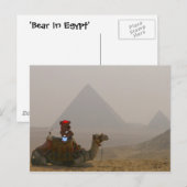 Carte postale 'Ours en Egypte' (Devant / Derrière)