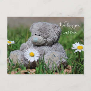 Carte Postale Ours en peluche
