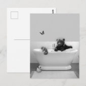 Carte Postale Ours en peluche dans un bain moussant (Devant / Derrière)