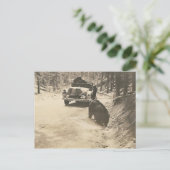 Carte Postale ours en voiture (Debout devant)