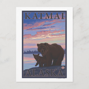 Carte Postale Ours et cub - Katmai, Alaska