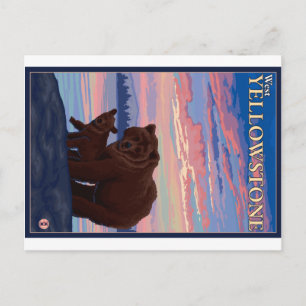 Carte Postale Ours et cub - West Yellowstone, Montana