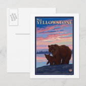 Carte Postale Ours et cub - West Yellowstone, Montana (Devant / Derrière)