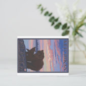 Carte Postale Ours et ourson - Ketchikan, Alaska (Debout devant)