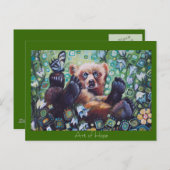 Carte Postale Ours et papillon (Devant / Derrière)