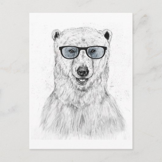 Carte Postale Ours geek (bleu) (Devant)