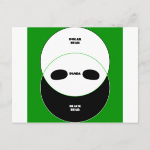 Carte Postale Ours graphiques