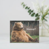 Carte Postale Ours Grizzli (Debout devant)