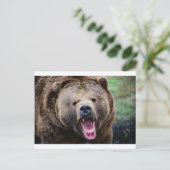 Carte Postale Ours grizzli (Debout devant)