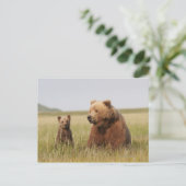 Carte Postale Ours grizzli avec petit (Debout devant)