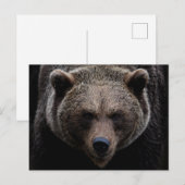 Carte Postale Ours grizzli Brown (Devant / Derrière)