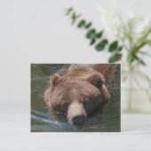 Carte Postale Ours grizzly (Debout devant)