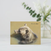 Carte Postale Ours Grizzly dans l'Eau (Debout devant)