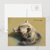 Carte Postale Ours Grizzly dans l'Eau (Devant / Derrière)
