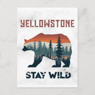 Carte Postale Ours Grizzly Vintage de Yellowstone Reste Sauvage