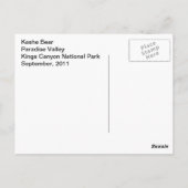 Carte Postale Ours Kasha 2 (Dos)
