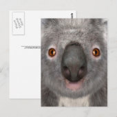 Carte Postale Ours koala (Devant / Derrière)