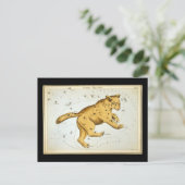 Carte Postale Ours majeur de l'Ursa vintage (Debout devant)