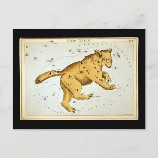Carte Postale Ours Majeur Vintage (Devant)