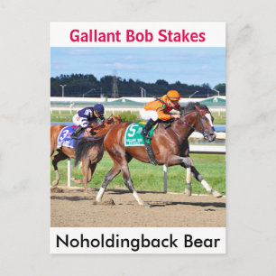 Carte Postale Ours Noholdingback - Gallant Bob Stakes