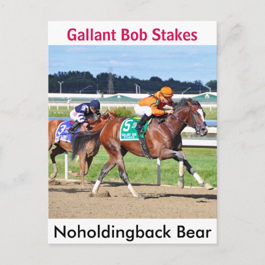 Carte Postale Ours Noholdingback - Gallant Bob Stakes (Devant)