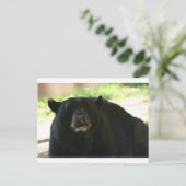 Carte Postale ours noir (Debout devant)