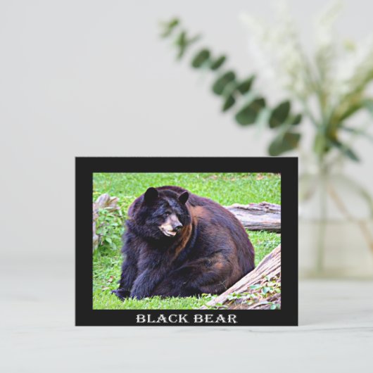Carte Postale Ours (noir) (Debout devant)