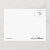 Carte postale Ours noir (Dos)