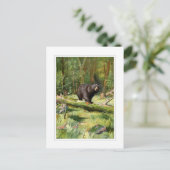 Carte Postale Ours noir Adirondack (Debout devant)