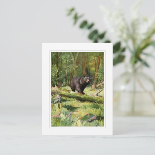 Carte Postale Ours noir Adirondack (Debout devant)