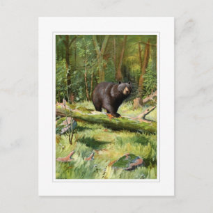 Carte Postale Ours noir Adirondack