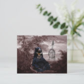Carte Postale Ours noir amérindien (Debout devant)