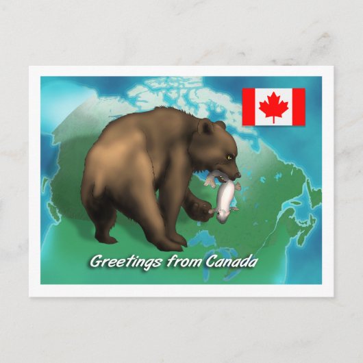 Carte Postale Ours noir canadien (Devant)