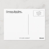 Carte Postale Ours noir cannelle (Dos)
