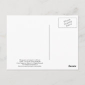 Carte Postale Ours noir - "Cubby - Faisons un accord" (Dos)