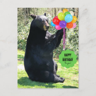 Carte Postale Ours Noir - "Cubby - Joyeux Anniversaire !"