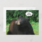 Carte Postale Ours Noir - "Cubby Qui A Farci ?" (Devant / Derrière)