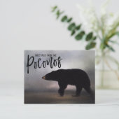 Carte Postale Ours noir dans les salutations hivernales des Poco (Debout devant)