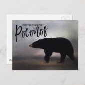 Carte Postale Ours noir dans les salutations hivernales des Poco (Devant / Derrière)