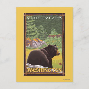 Carte Postale Ours noir en forêt - Cascades du Nord, Lashingto