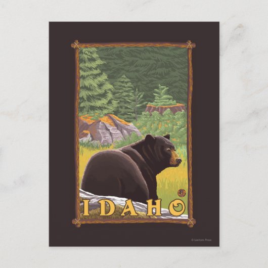 Carte Postale Ours noir en forêt - Idaho (Devant)